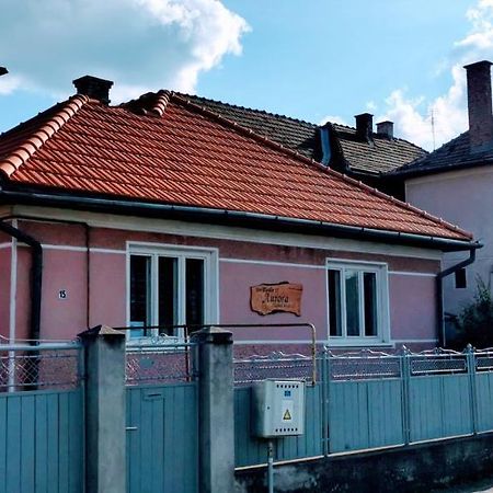Sepsi-Szek Hotel Sfântu Gheorghe Bagian luar foto